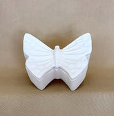 Ceramics - Butterfly Box